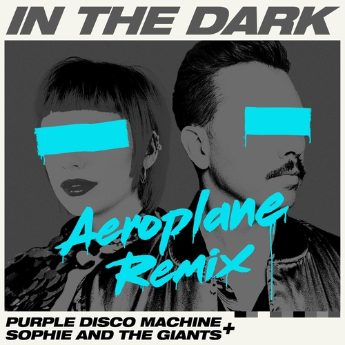 Purple Disco Machine, Sophie and the Giants - In the Dark (Aeroplane Remix) [SWEATDS704DJ]